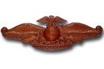 Fleet Marine Force Badge
