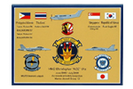 Individual Deployment & Cruise Plaques