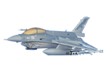 Customized F-16D Falcon Model