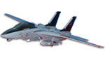 F-14 Tomcat Model