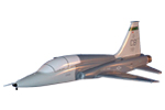 49 FTS T-38 Talon Model