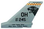 162 RS F-16C Tail Flash