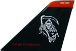 VF-101 F-14 Tail Flash