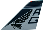 VF-143 F-14 Tail Flash