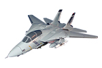 VF-143 F-14 Tomcat Model