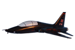 9 RW T-38 Talon Model