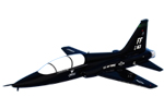 1 FW T-38 Talon Model