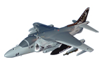 VMA-214 AV-8B Harrier II Model