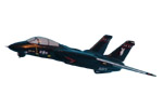 F-14 "Tomcat" Miniature (VX-4)