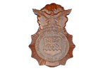 Security Police Badge