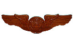 Enlisted Air Crew Wings