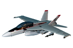 VFA-41  F/A-18E/F Super Hornet Model